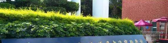  深圳桃源居中澳实验学校2023年学费标准