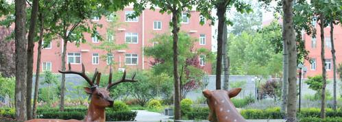 石家莊實(shí)驗(yàn)中學(xué)2020年招生代碼