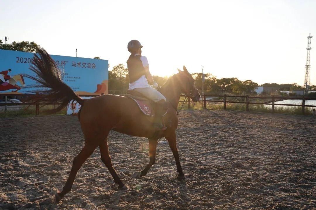 上海新纪元双语学校马术课程.jpg