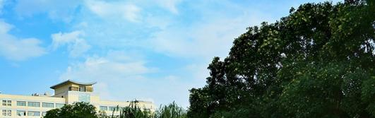 湛江湛港职业技术学校