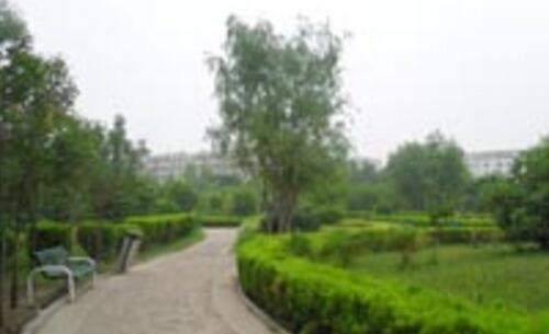 郑州绿业信息中等专业学校