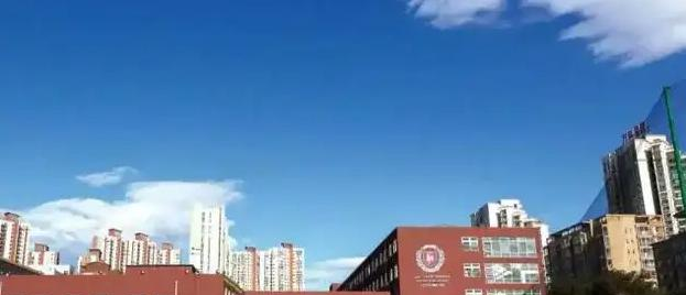 北京力迈国际学校初中部2023年课程体系