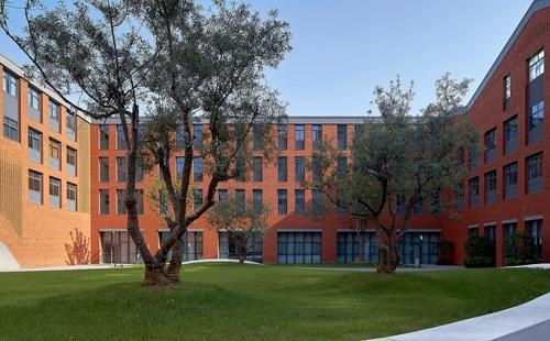 北京外国语大学附属杭州橄榄树学校