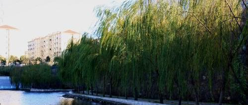 陕西渭阳技工学校