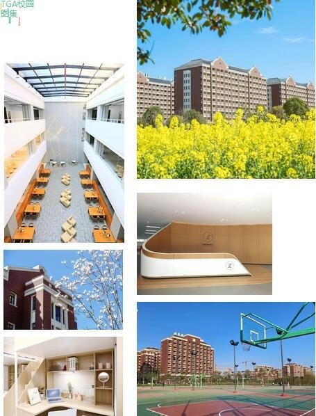 上海建桥国际高中.jpg