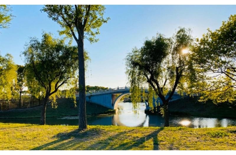 剑桥文理与剑桥艺术学校中国CATS China&CSVPA China