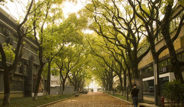 浙江工贸职业技术学院怎么样、好不好