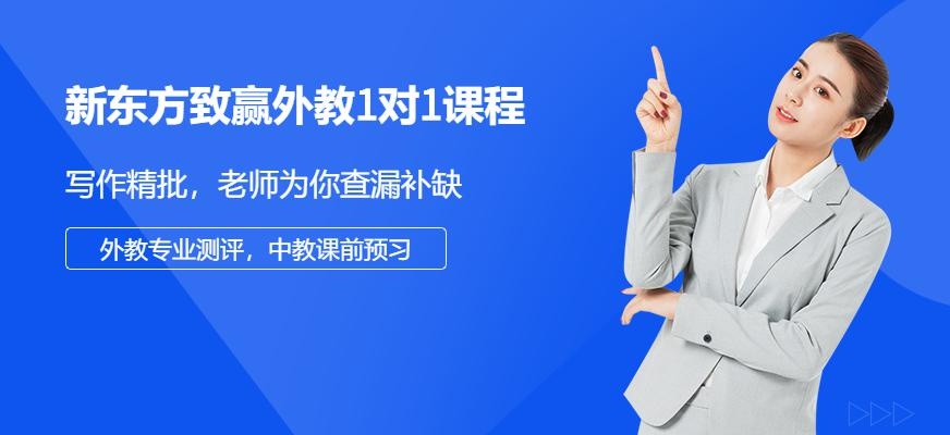 新东方致赢外教1对1课程配图