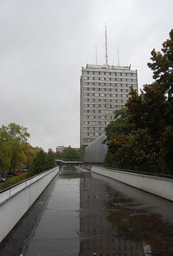 居里夫人大学