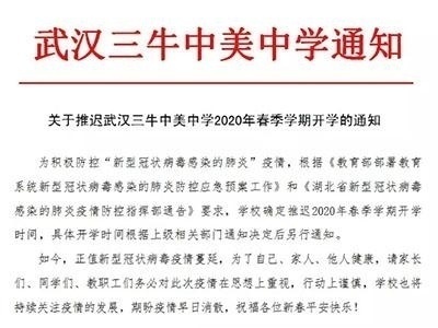 武汉三牛中美中学