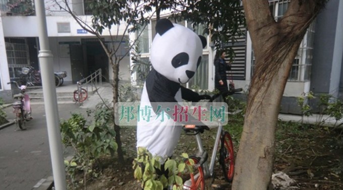 天府新区成人中等专业学校文明活动