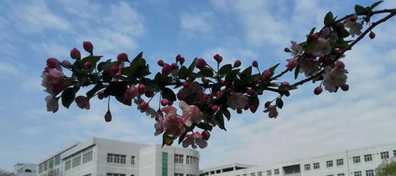 河北化工医药职业技术学院