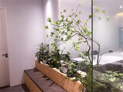 沐良义塾国际高中