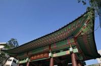 世宗大学