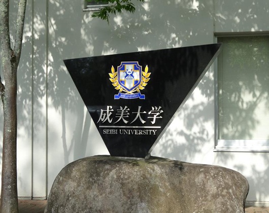 成美大学