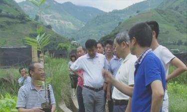 四川省乐山市竹根职业中专学校