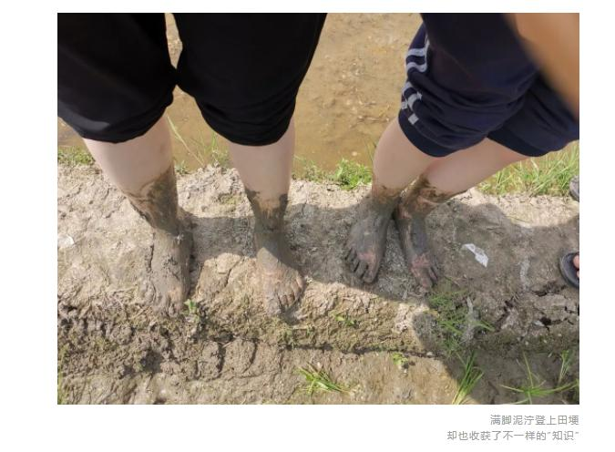 弘益剑桥国际高中