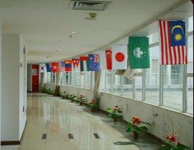 广东新航线传媒教育