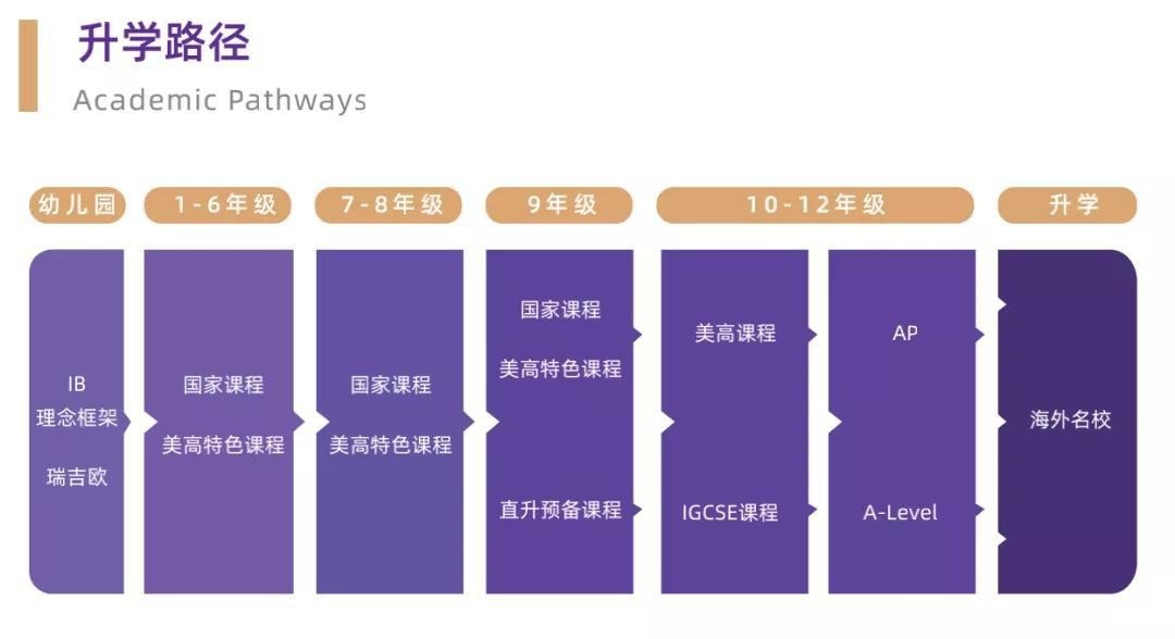 升学路径.jpg