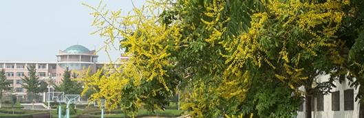 山东医药技师学院5