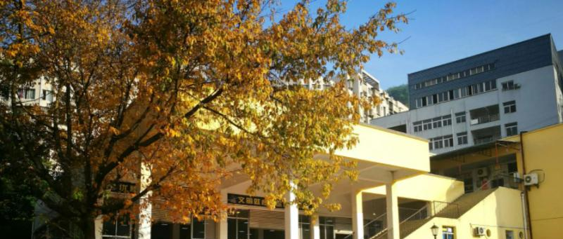 重庆万州赛德国际学校小学部靠谱吗
