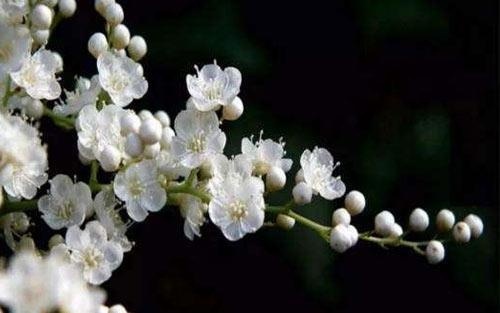 怎样培养孩子的独立做事的能力