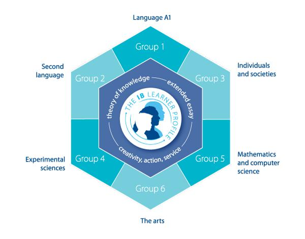 IB Diploma Programme Diagram