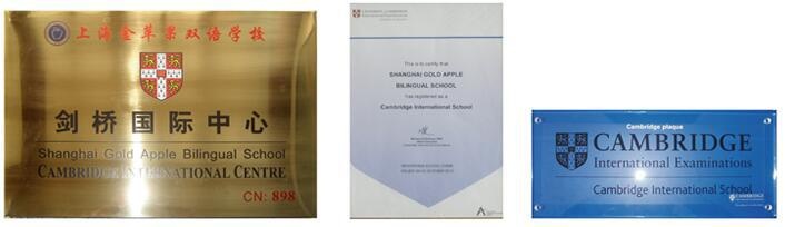 英国剑桥国际高中课程.jpg