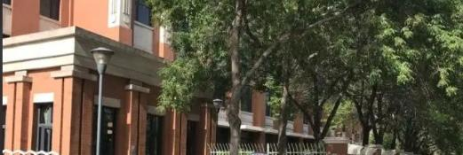 天津开发区国际学校高中部怎么样