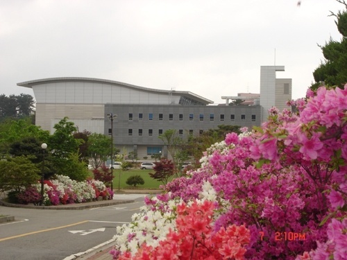 湖园大学