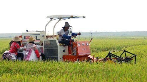 乐山市金盾职业学校