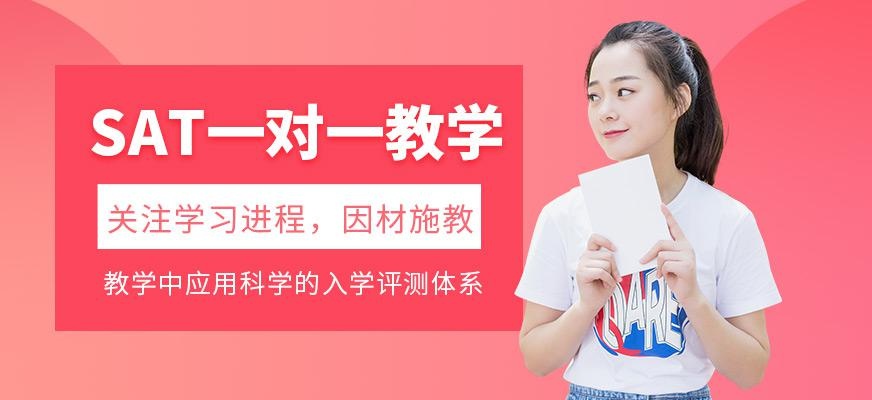 广州环雅SAT一对一教学