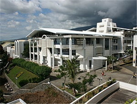 留尼汪大学