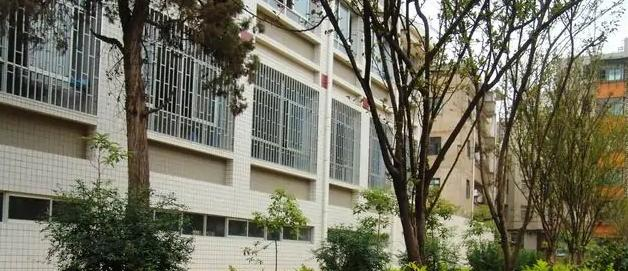 截图_20211116125530