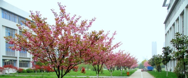 无锡职业技术学院是几专