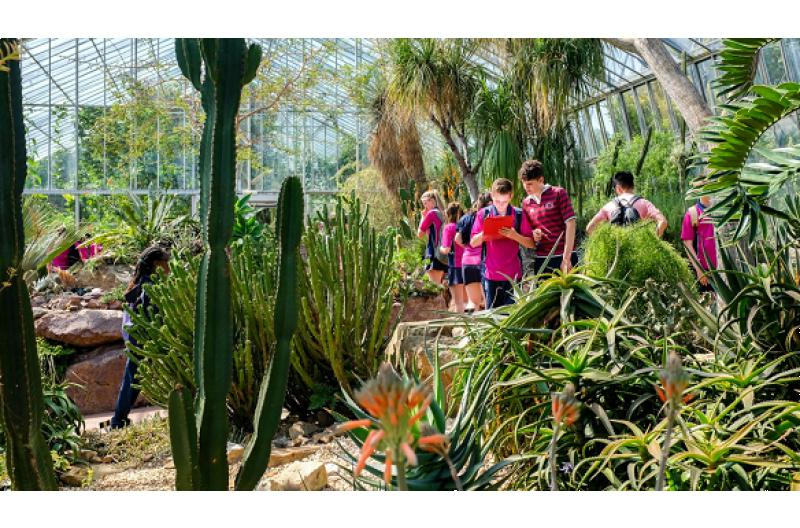 广州斐特思公学学校