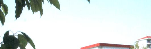 安吉上墅私立高级中学怎么样、好不好