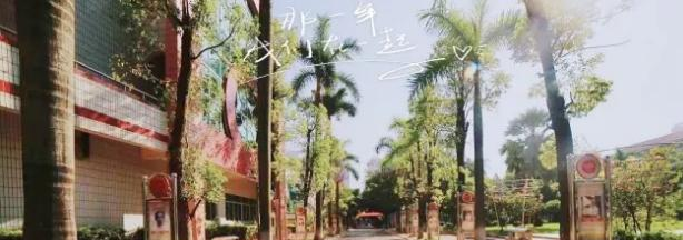 图片_20191231104755