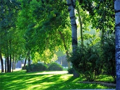 法耀剑桥A-Level国际教育中心