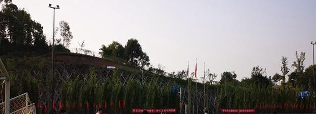 重庆史迪威外语学校高中部2020年学费、收费多少