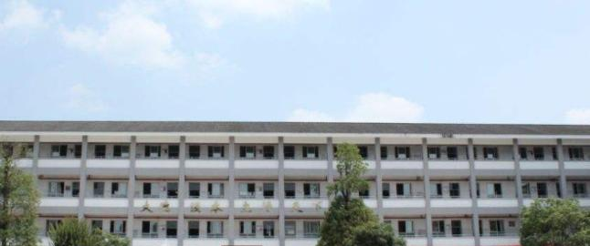 邛崃平乐中学网站 