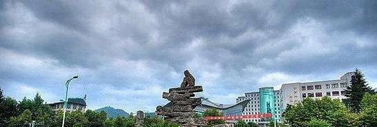 黔南民族幼儿师范高等专科学校2019年单招录取分数线