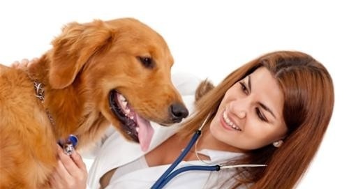 晋州职业技术教育中心