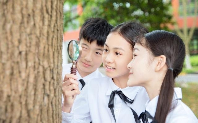 小学考试需要准备什么资料