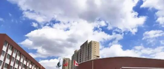 天津泰达国际学校2022年报名时间