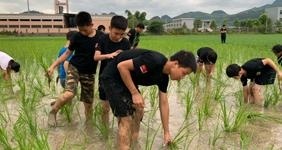 劳作务农活动照