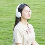 成人零基础