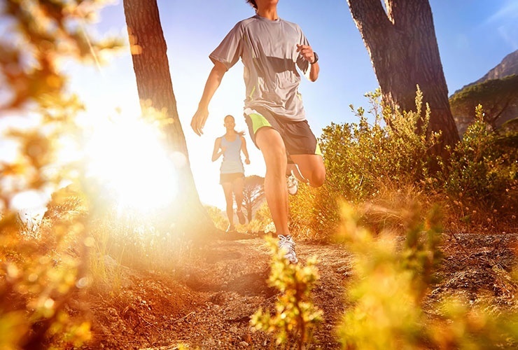 不止于英语的改变