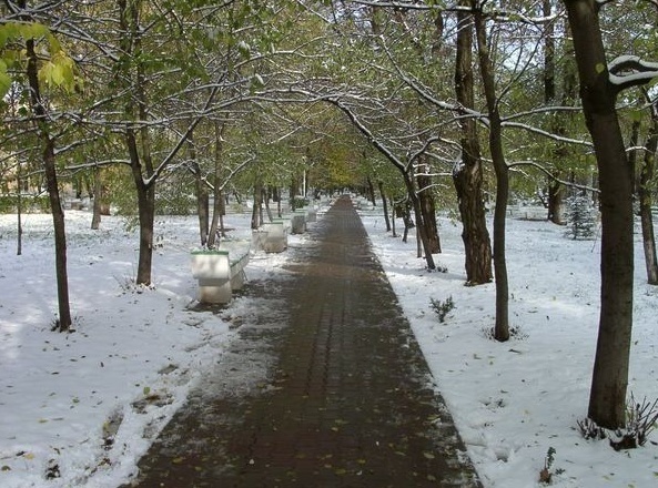 罗斯托夫国立交通大学