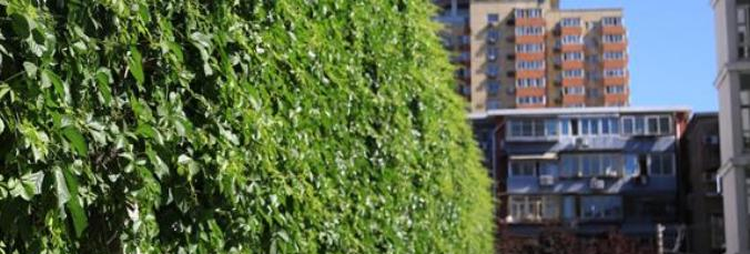 北京第三十五中学